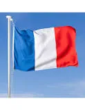 Un roi pour la France?